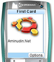 wap1.JPG